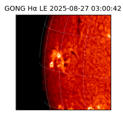 gong - 2025-08-27T03:00:42