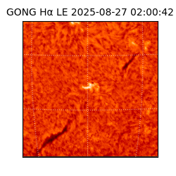 gong - 2025-08-27T02:00:42