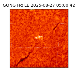 gong - 2025-08-27T05:00:42