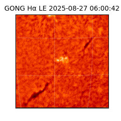 gong - 2025-08-27T06:00:42