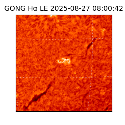 gong - 2025-08-27T08:00:42