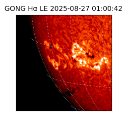 gong - 2025-08-27T01:00:42