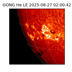 gong - 2025-08-27T02:00:42