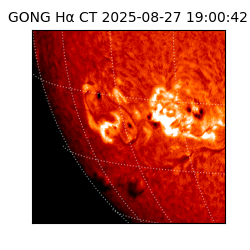 gong - 2025-08-27T19:00:42