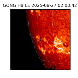 gong - 2025-08-27T02:00:42