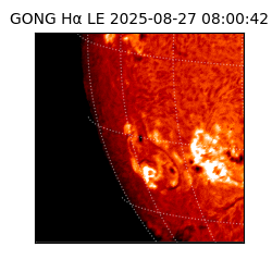 gong - 2025-08-27T08:00:42