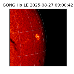 gong - 2025-08-27T09:00:42