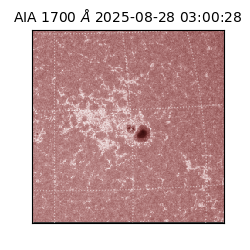 saia - 2025-08-28T03:00:28.717000