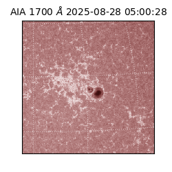 saia - 2025-08-28T05:00:28.717000