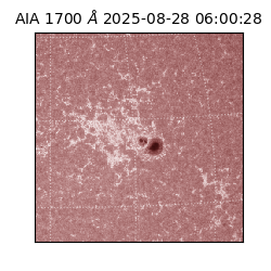 saia - 2025-08-28T06:00:28.718000