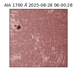 saia - 2025-08-28T06:00:28.718000