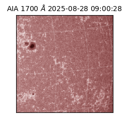 saia - 2025-08-28T09:00:28.710000