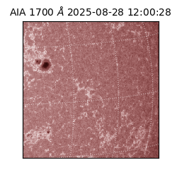 saia - 2025-08-28T12:00:28.717000