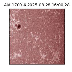 saia - 2025-08-28T16:00:28.718000