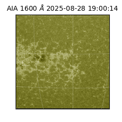 saia - 2025-08-28T19:00:14.126000