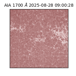 saia - 2025-08-28T09:00:28.710000