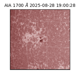 saia - 2025-08-28T19:00:28.718000