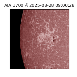 saia - 2025-08-28T09:00:28.710000