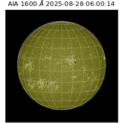 saia - 2025-08-28T06:00:14.126000