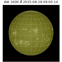saia - 2025-08-28T08:00:14.126000