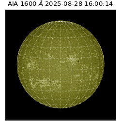 saia - 2025-08-28T16:00:14.126000