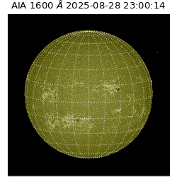 saia - 2025-08-28T23:00:14.130000