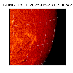 gong - 2025-08-28T02:00:42