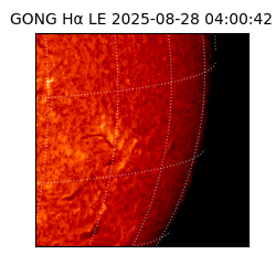gong - 2025-08-28T04:00:42