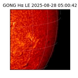 gong - 2025-08-28T05:00:42