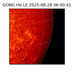 gong - 2025-08-28T06:00:42