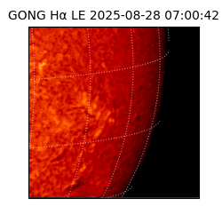 gong - 2025-08-28T07:00:42