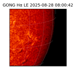 gong - 2025-08-28T08:00:42