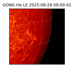 gong - 2025-08-28T09:00:42