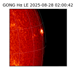gong - 2025-08-28T02:00:42