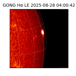gong - 2025-08-28T04:00:42