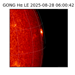 gong - 2025-08-28T06:00:42