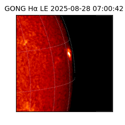 gong - 2025-08-28T07:00:42