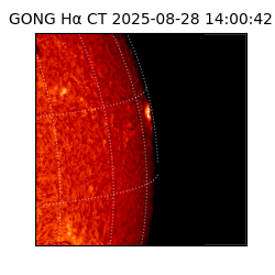 gong - 2025-08-28T14:00:42