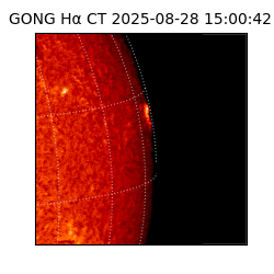 gong - 2025-08-28T15:00:42