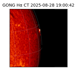 gong - 2025-08-28T19:00:42