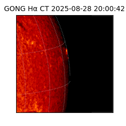 gong - 2025-08-28T20:00:42