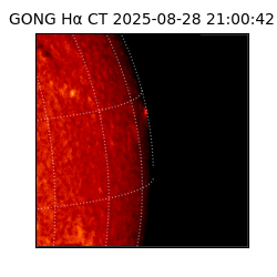 gong - 2025-08-28T21:00:42