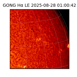 gong - 2025-08-28T01:00:42