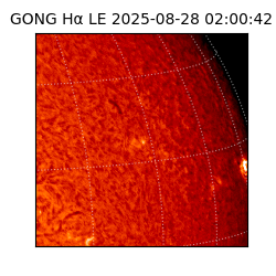 gong - 2025-08-28T02:00:42