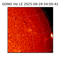 gong - 2025-08-28T04:00:42
