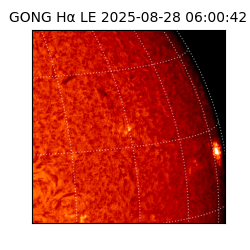 gong - 2025-08-28T06:00:42