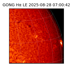 gong - 2025-08-28T07:00:42