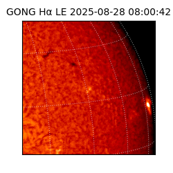 gong - 2025-08-28T08:00:42