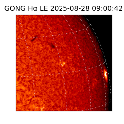 gong - 2025-08-28T09:00:42