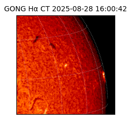 gong - 2025-08-28T16:00:42